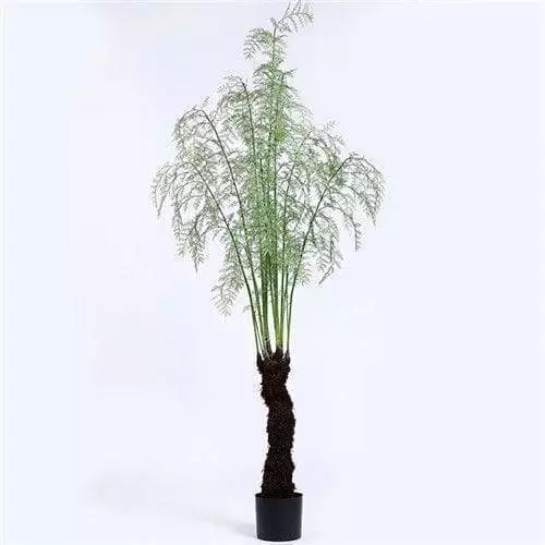 Faux Fern Plant, Made of Silk, Plastic and Other Materials, 210CM