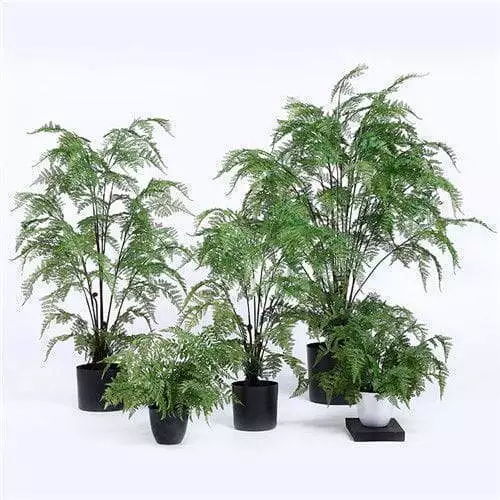 Artificial Indoor Ferns with Multi Stems, Plastic or Silk Material