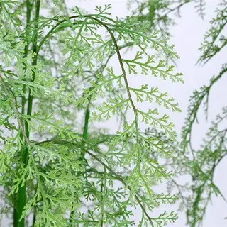 Silk Ferns
