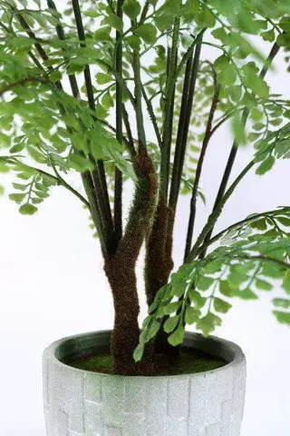 Realistic Artificial Fern Bonsais With Different Sizes