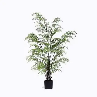 Plastic Ferns Plant With A Pot