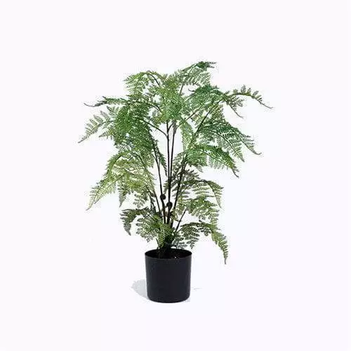 Faux Fern, Made of Plastic or Silk Material, Plastic Base