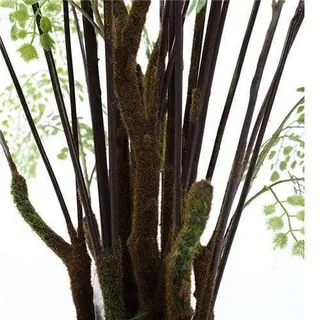 Plastic Ferns