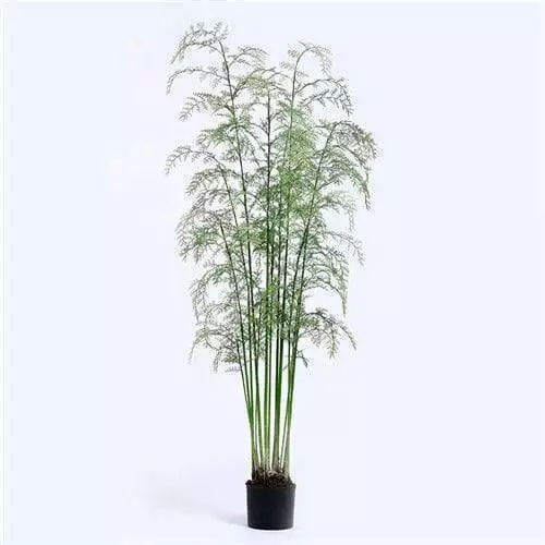 Silk Ferns, 180CM, Plastic Base, Can Be Custom