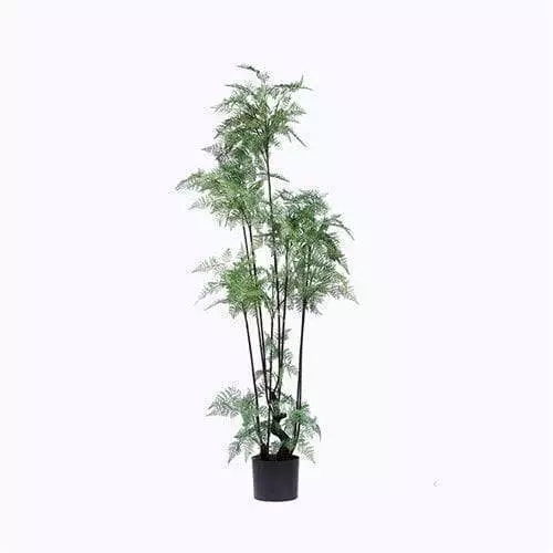 Plastic Ferns Bonsai For Decoration, 150CM, In Pot