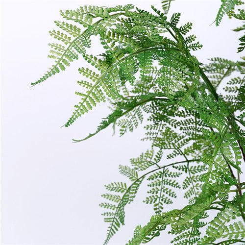 Silk Fern Plants