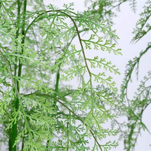 Silk Ferns