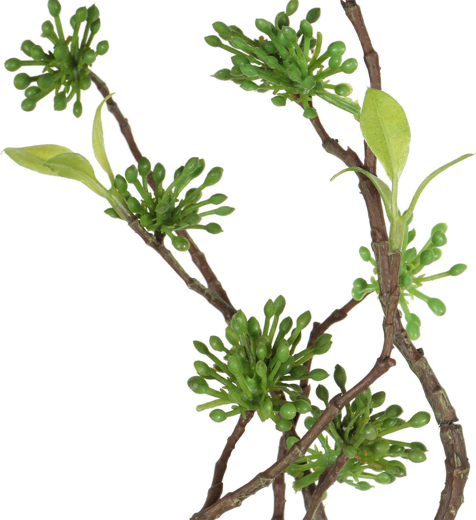 branch details branch details