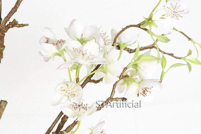 Peach Blossom Branch details
