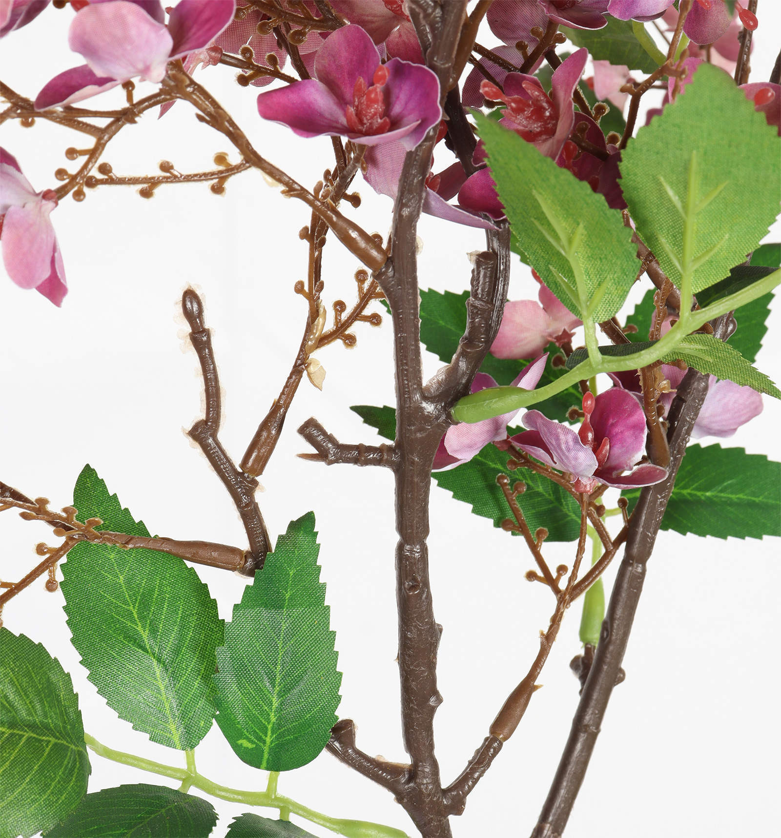 branch details