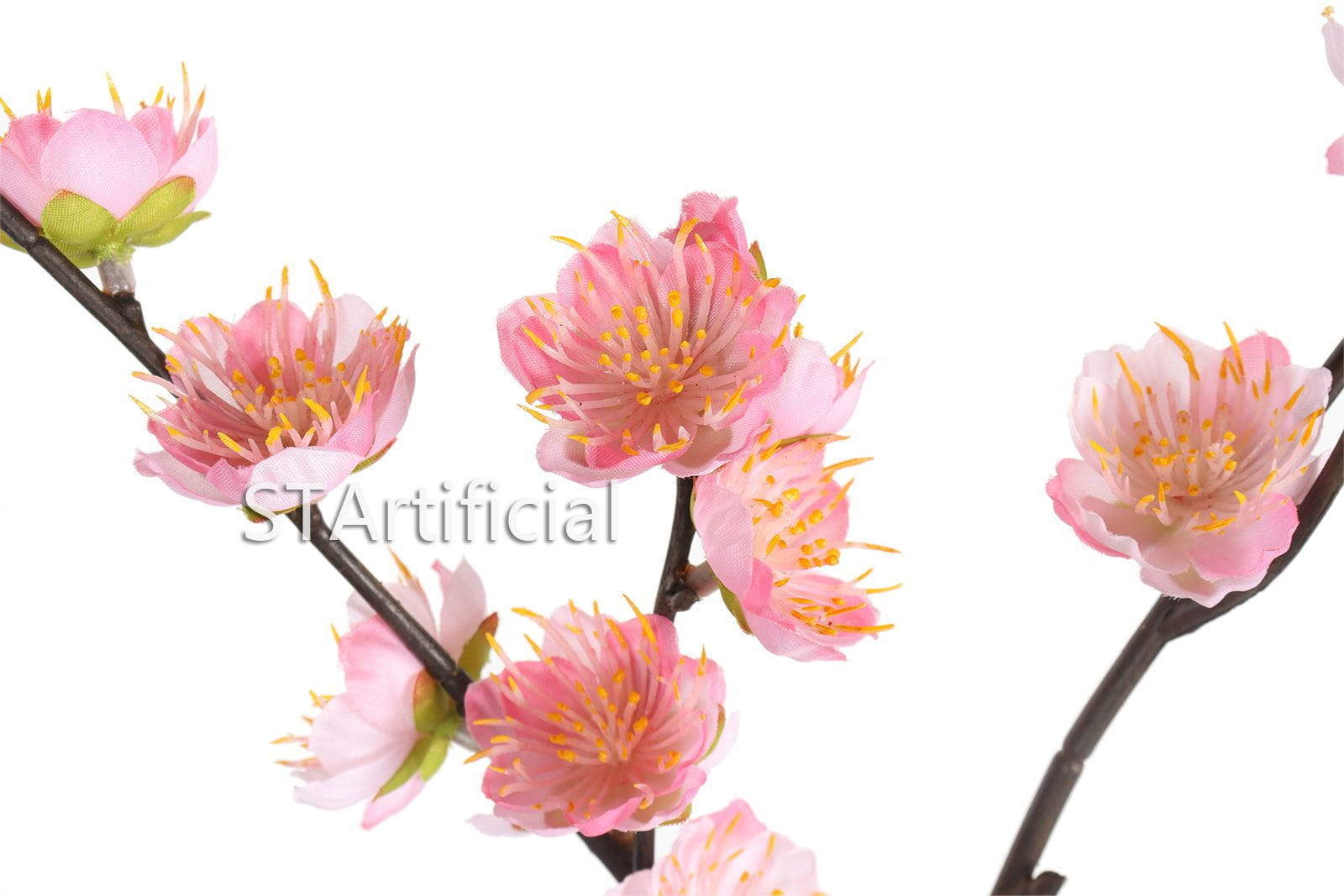 Blossom Branch details Blossom Branch details
