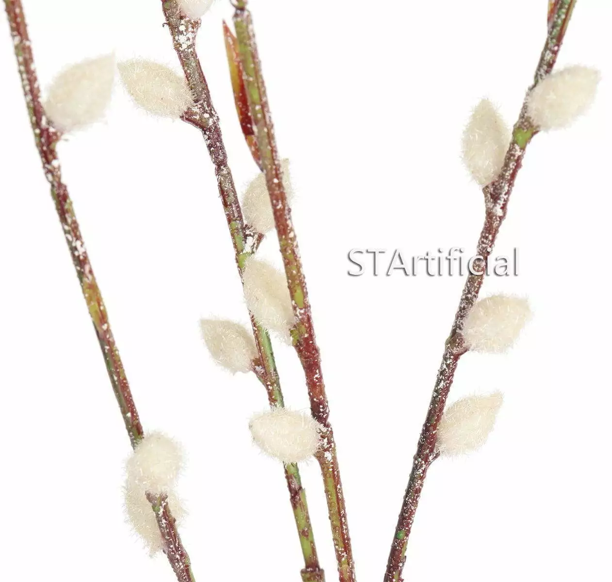 spring willow branches