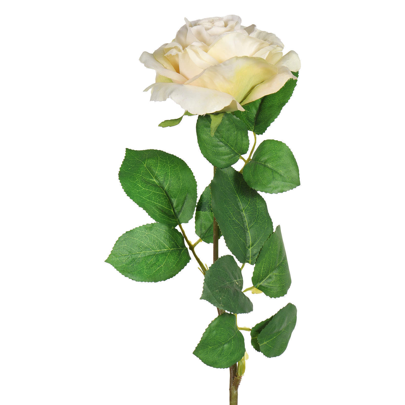 Artificial Silk Rose Flower, 26 Inch, 66 CM