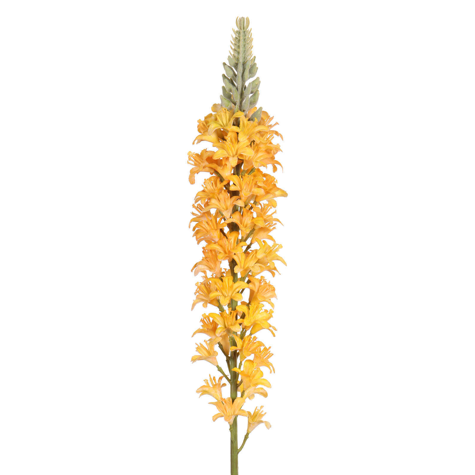 Artificial Foxtail Lily Flower, 27 Inch, 68 MM