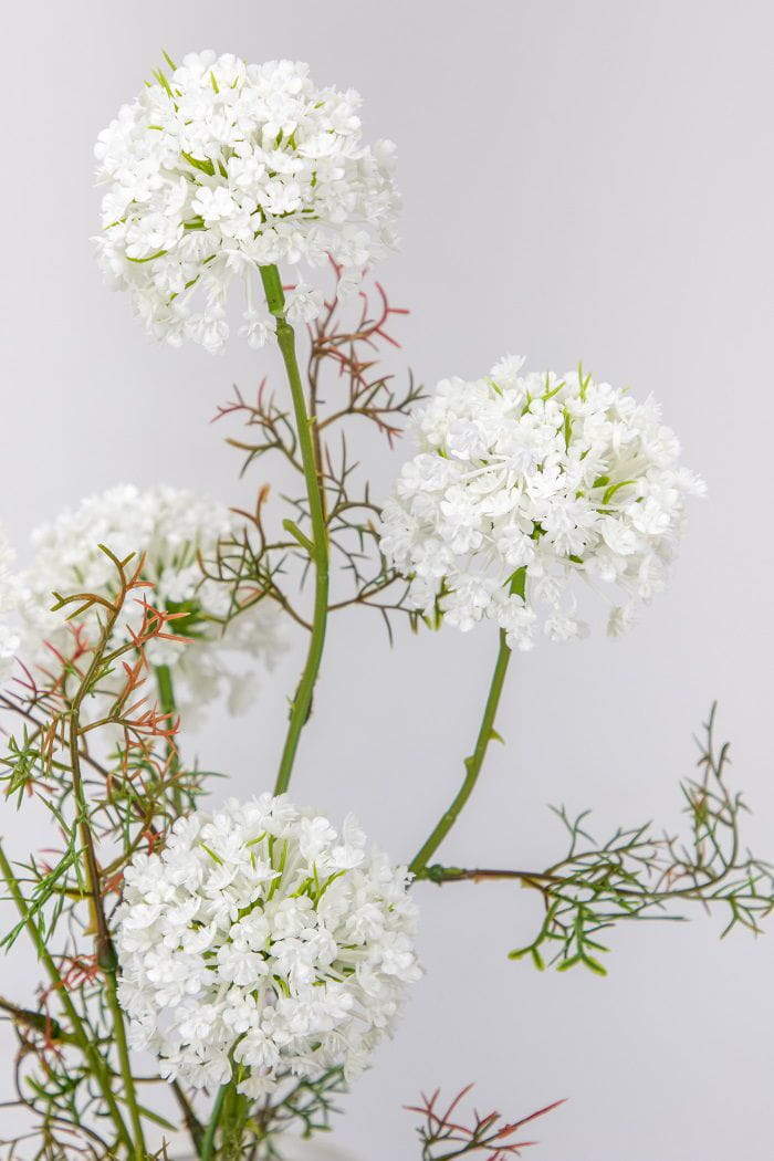 Lace Flowers with Vase