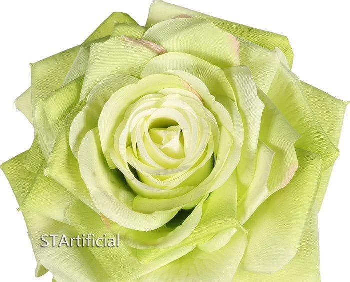 green rose detail green rose detail