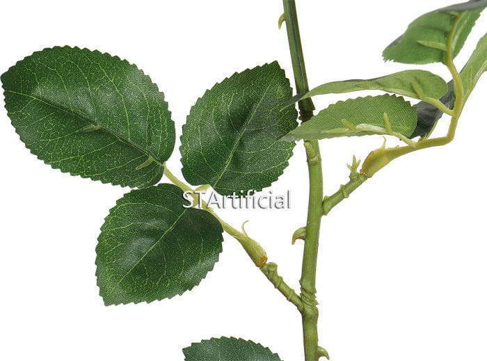 creamy rose leaf details creamy rose leaf details