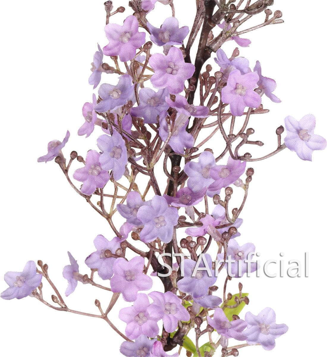 Long Stem Flower