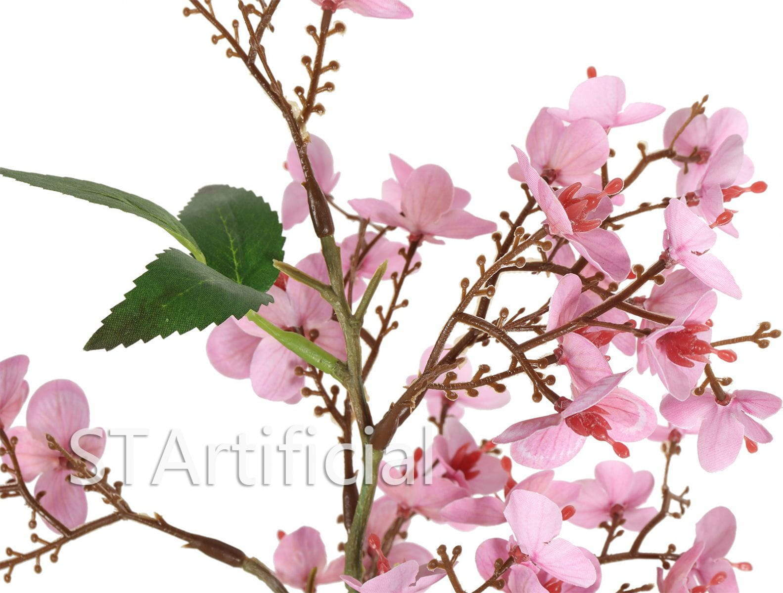 Pink Flowers