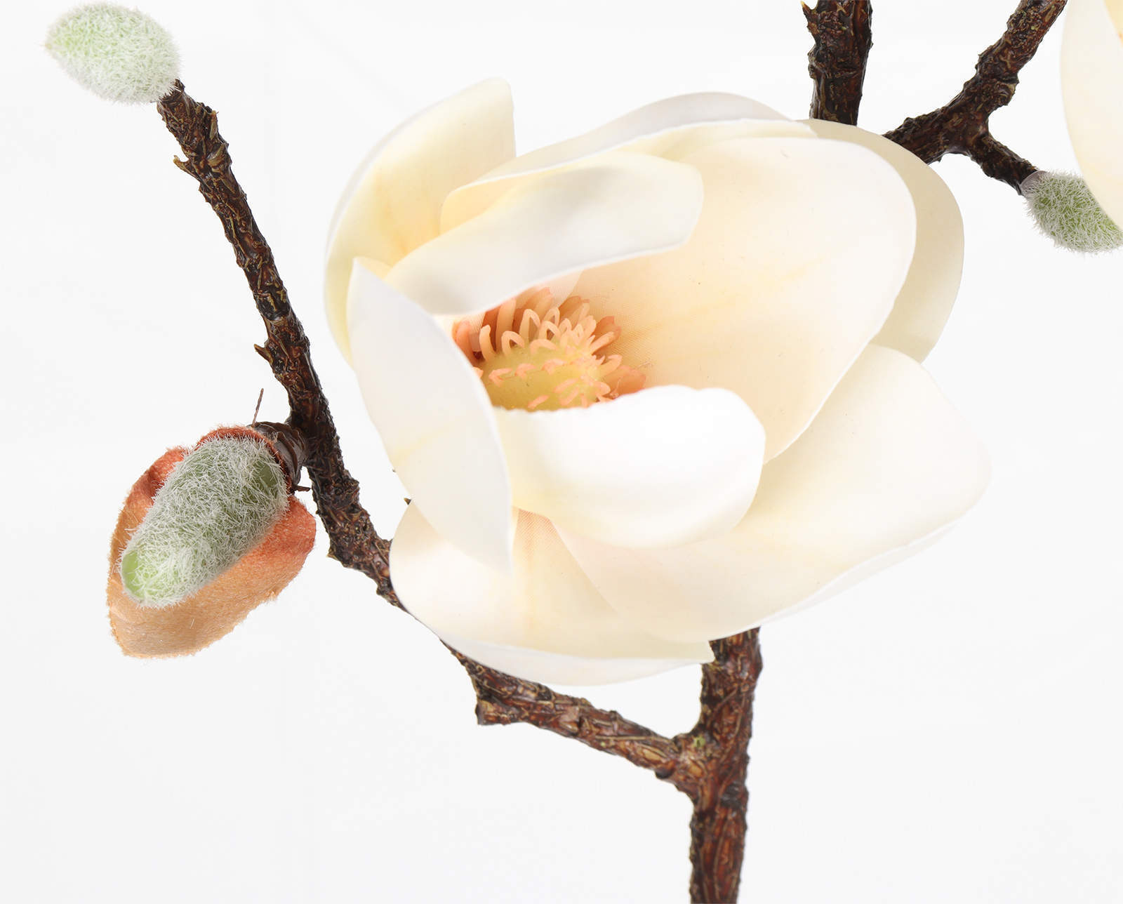 Pink Magnolia details
