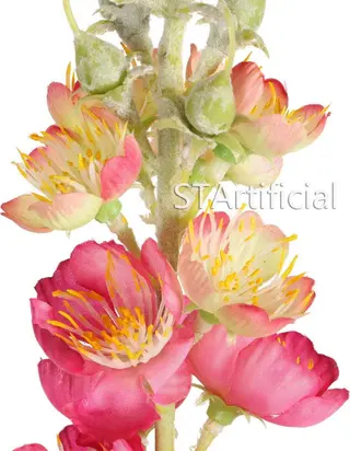 Flower Bouquet Arrangement