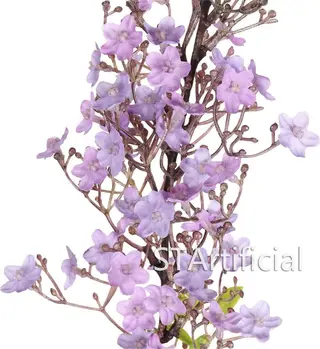 Long Stem Flower