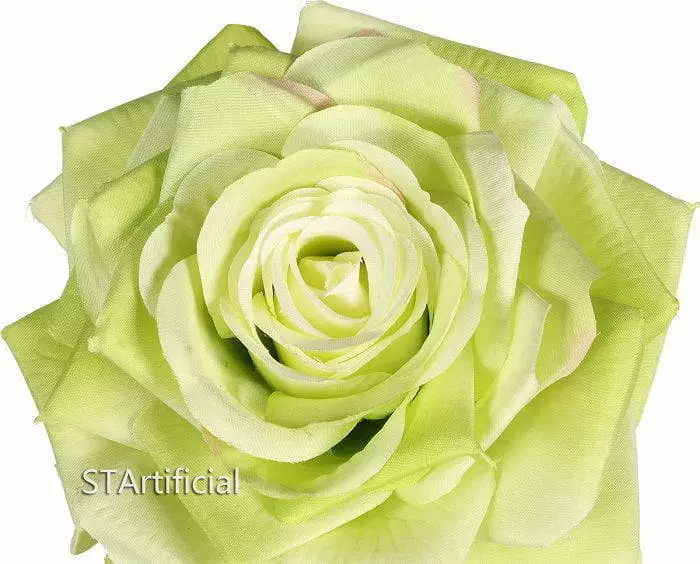 green rose detail