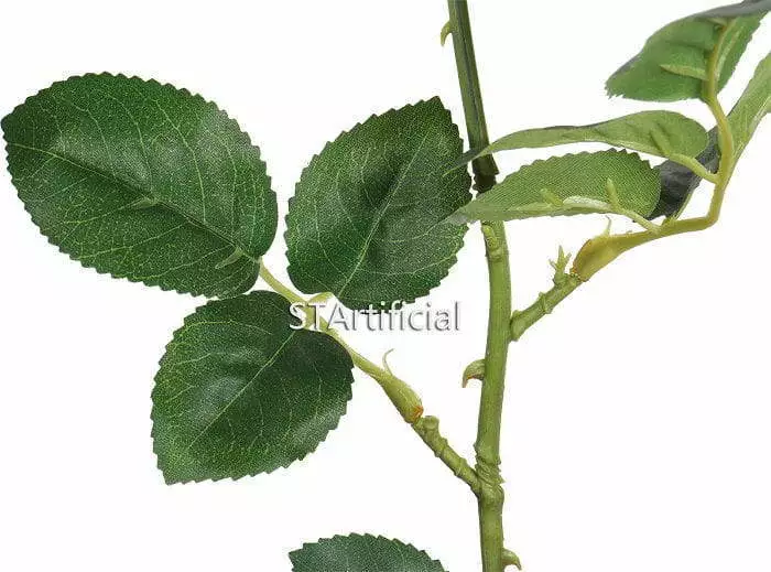 creamy rose leaf details