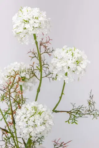 Lace Flowers with Vase