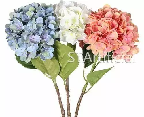 Hydrangea Flowers Arrangement