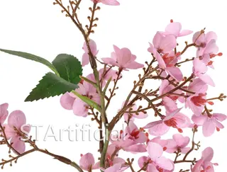 Pink Flowers
