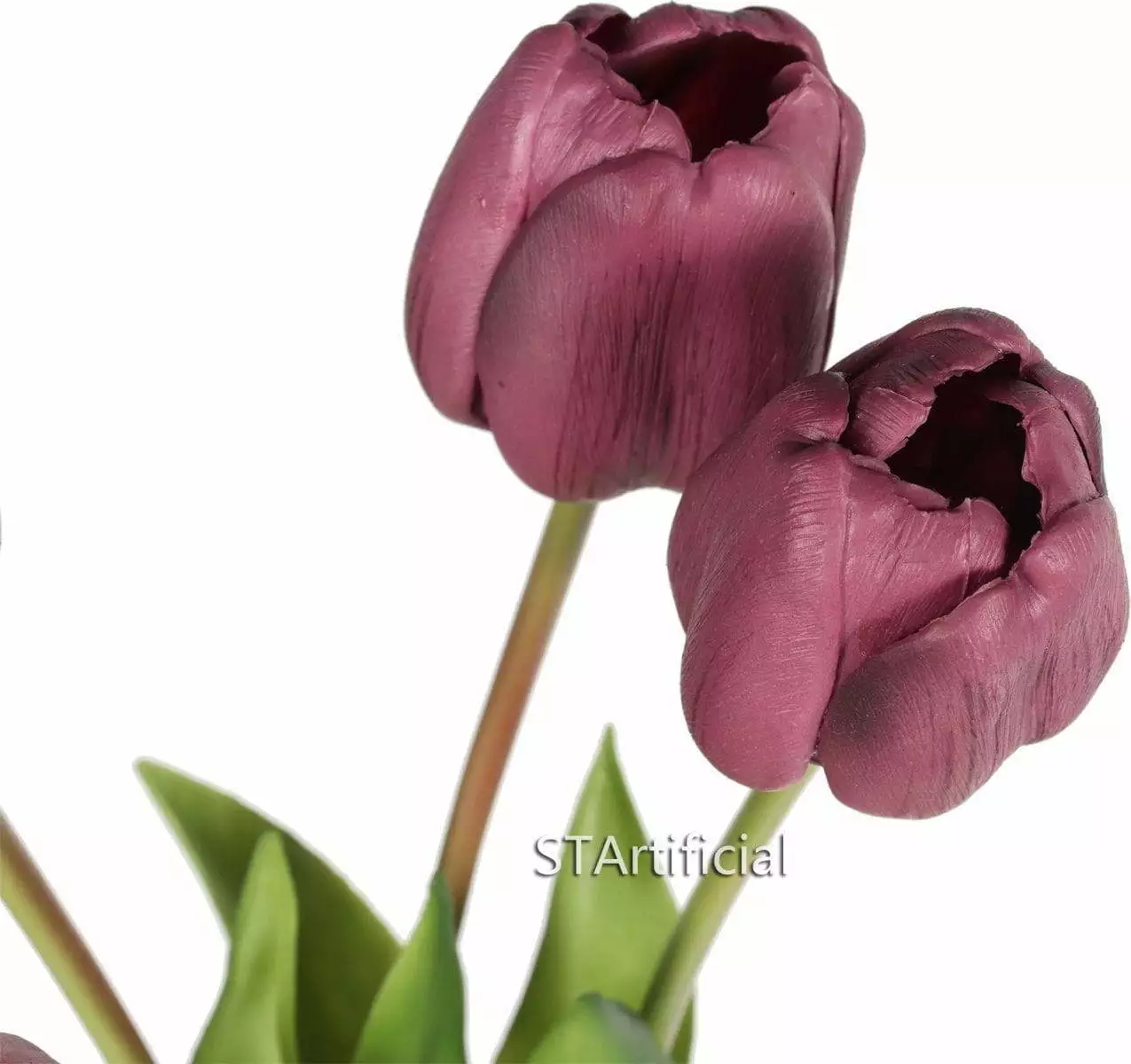 Tulips with 2 Buds