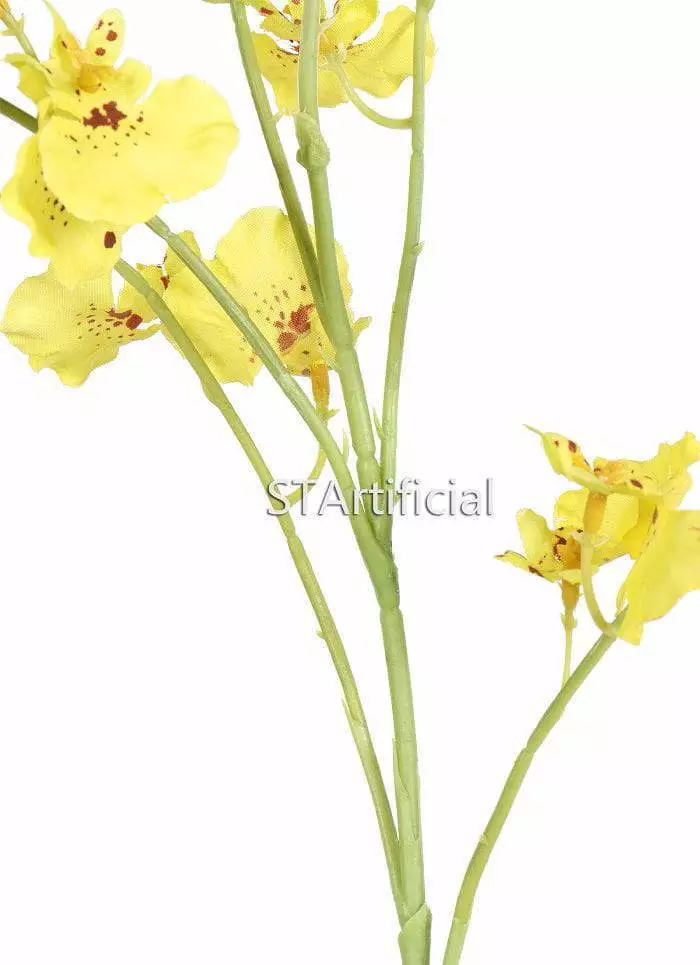 orchid stem detail
