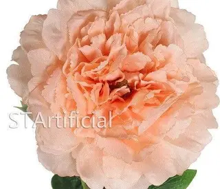 fake peony flower details