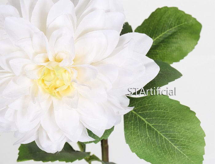 Dahlia Flower Detail Dahlia Flower Detail