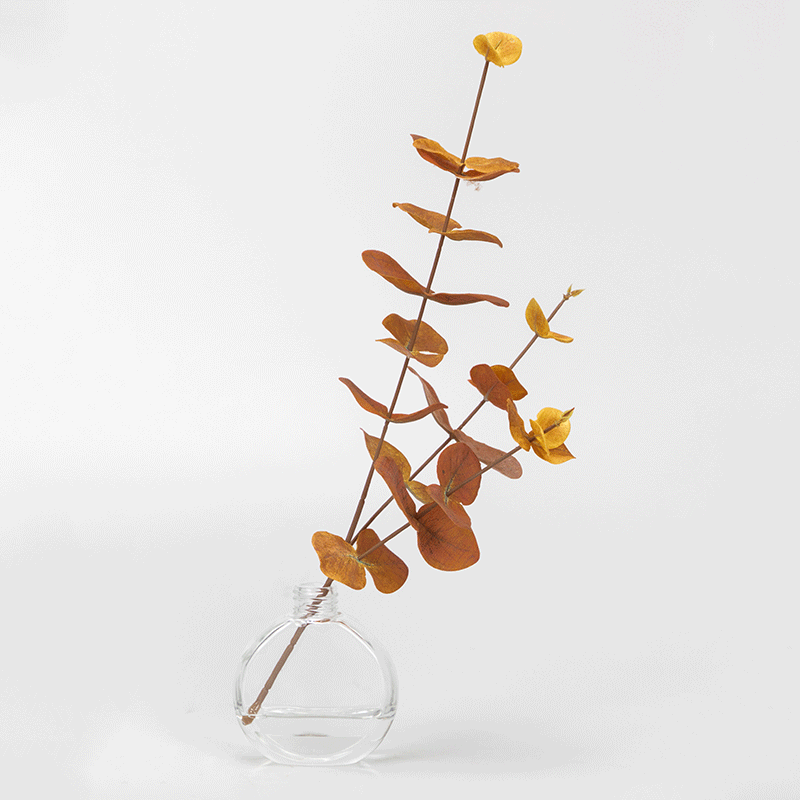 Bottled Artificial Eucalyptus, 50 CM