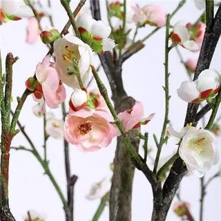 Artificial Wintersweet Flower