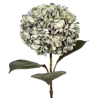 Artificial Silk Shell Hydrangeas, Autumn Color, 54 CM