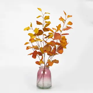 Autumn Eucalyptus Stems, 65 CM