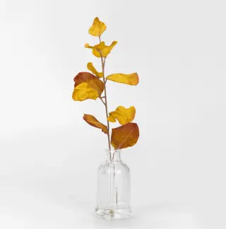 Artificial Eucalyptus Stem, 40 CM