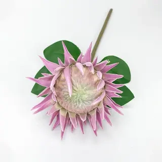 King Flowers details