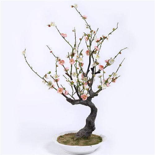 Silk Plum Blossoms