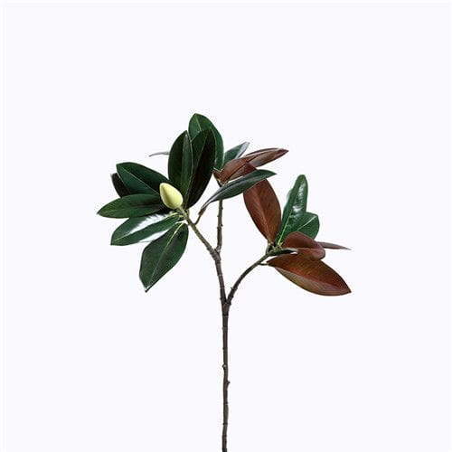 Fake Magnolia Leaves