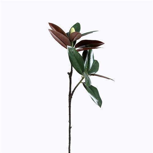 Fake Magnolia Leaves