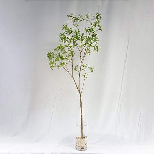 Imitation Pieris Japonica Branch, 210CM