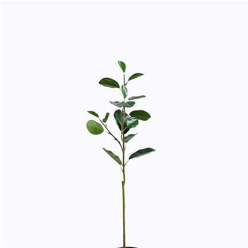 Plastic Ficus Microcarpa Foliage