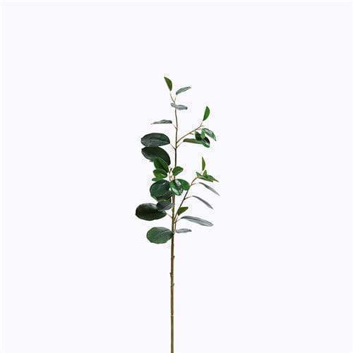 Plastic Ficus Microcarpa Foliage