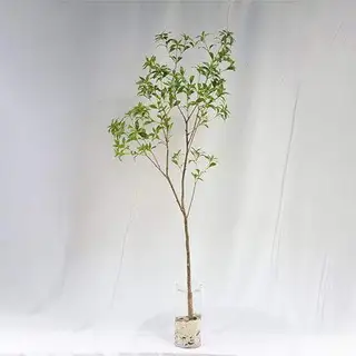 Imitation Pieris Japonica Branch, 210CM