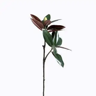 Fake Magnolia Leaves