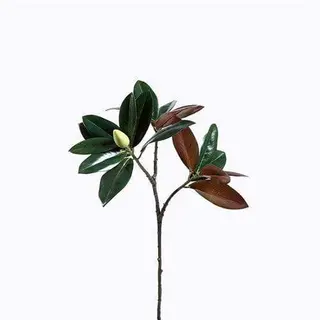Fake Magnolia Leaves